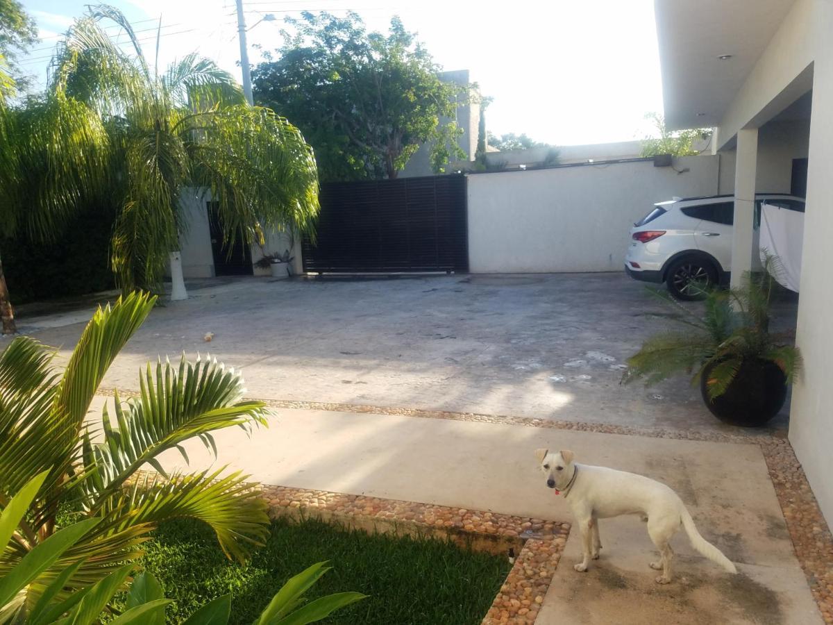 Casa Xcanatun Merida Exterior photo